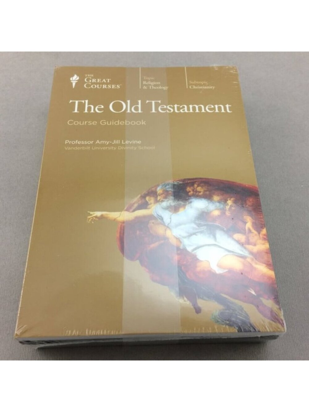 The Great Courses The Old Testament Guidebook & 12 DVDs Sealed University Level